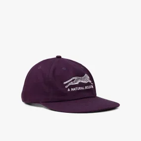 Brother Brother Natural Selection Cap Grape / White