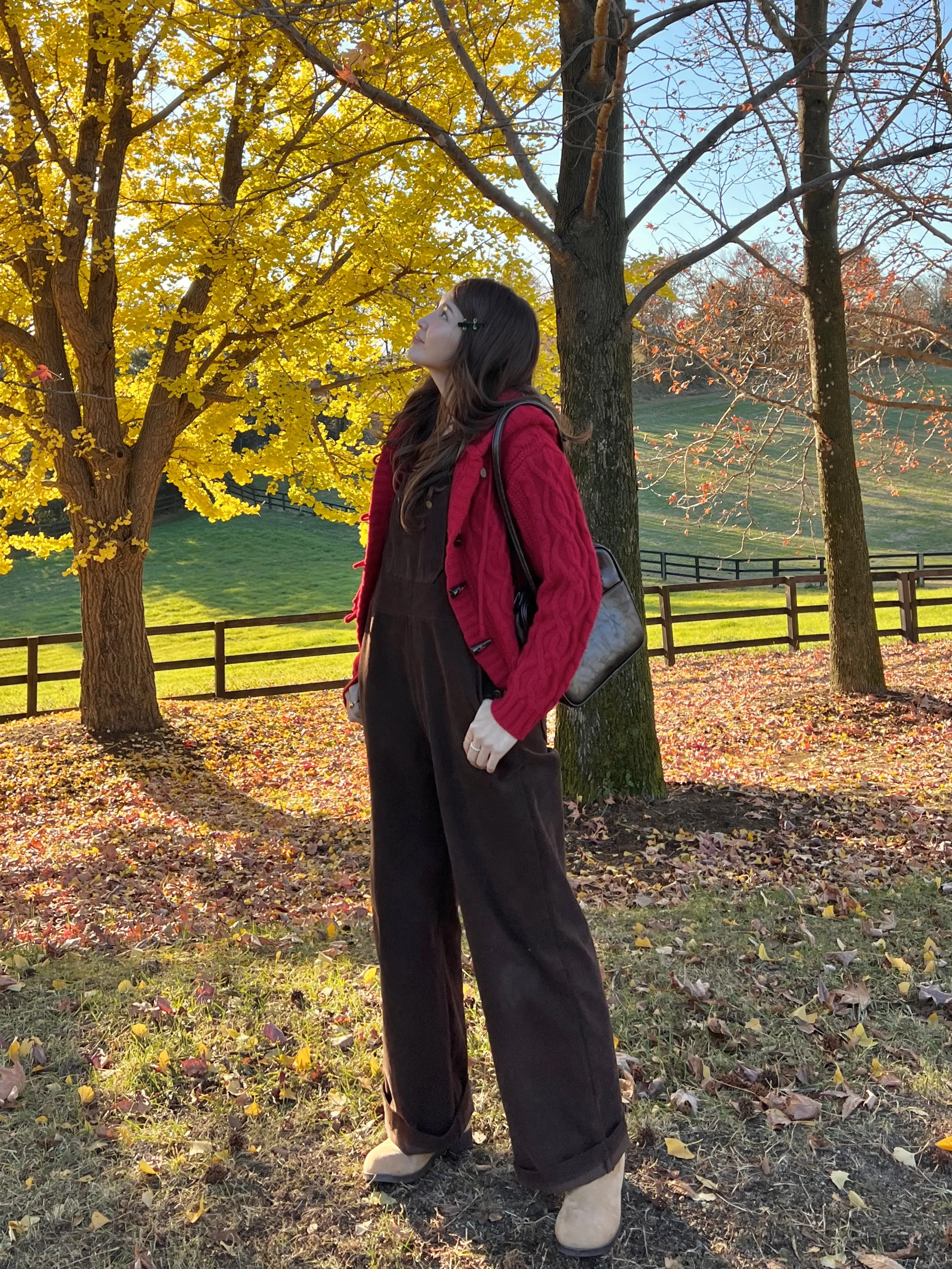 Daily Cable Knit Cardigan