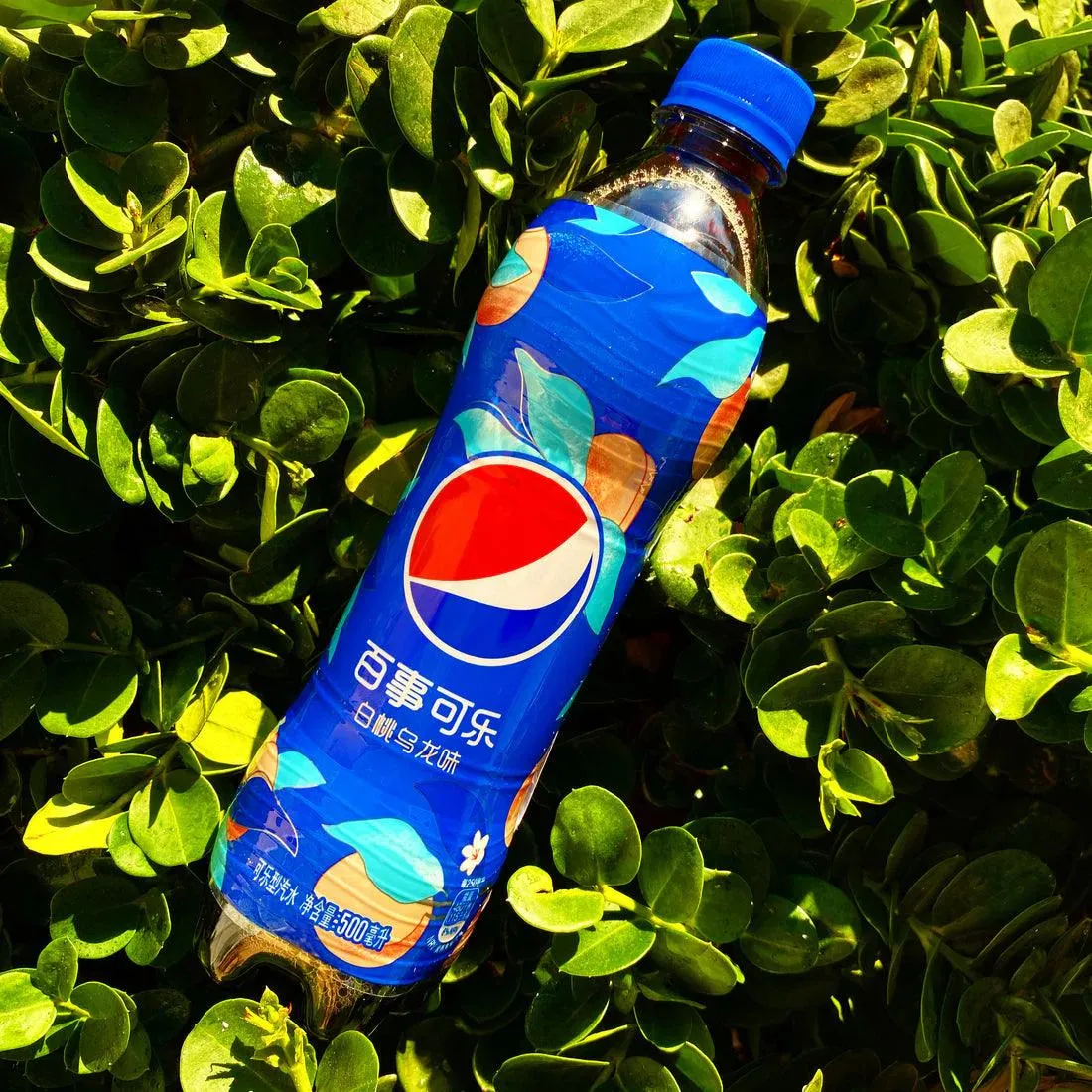 Pepsi White Peach Oolong (Bottle)